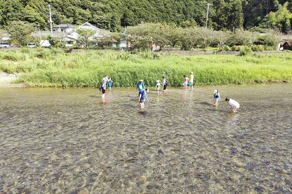 わさびコラム | ガサガサ遊び