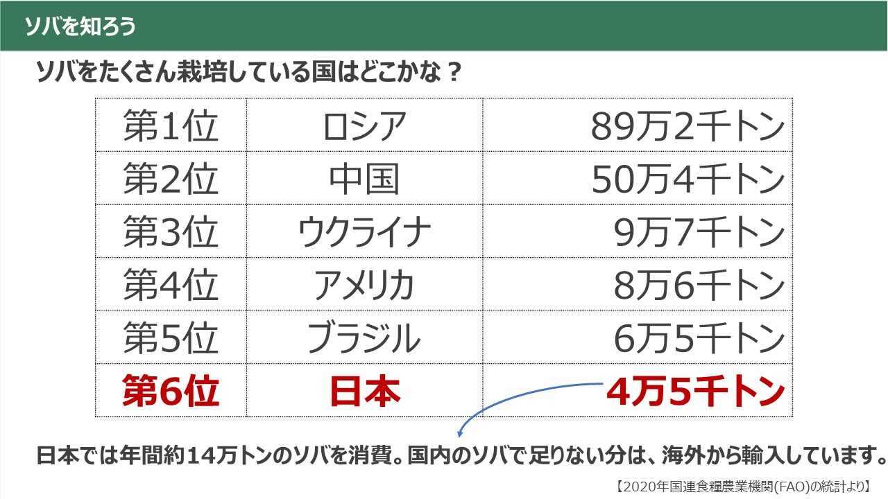 わさびコラム | 今日の食材　ソバのことをもっと知ろう