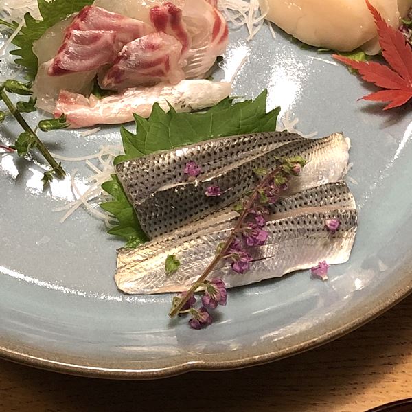 わさびの美味しい食べ方 | コハダ（小肌）