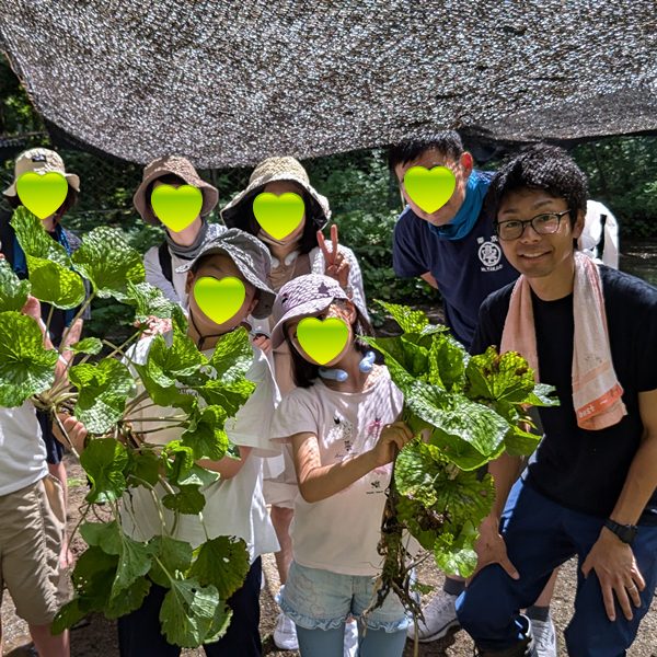 わさびコラム | 体験学習2日目